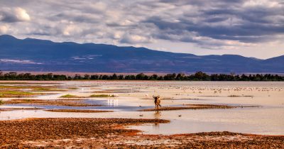 3 Days Amboseli National Park Tour