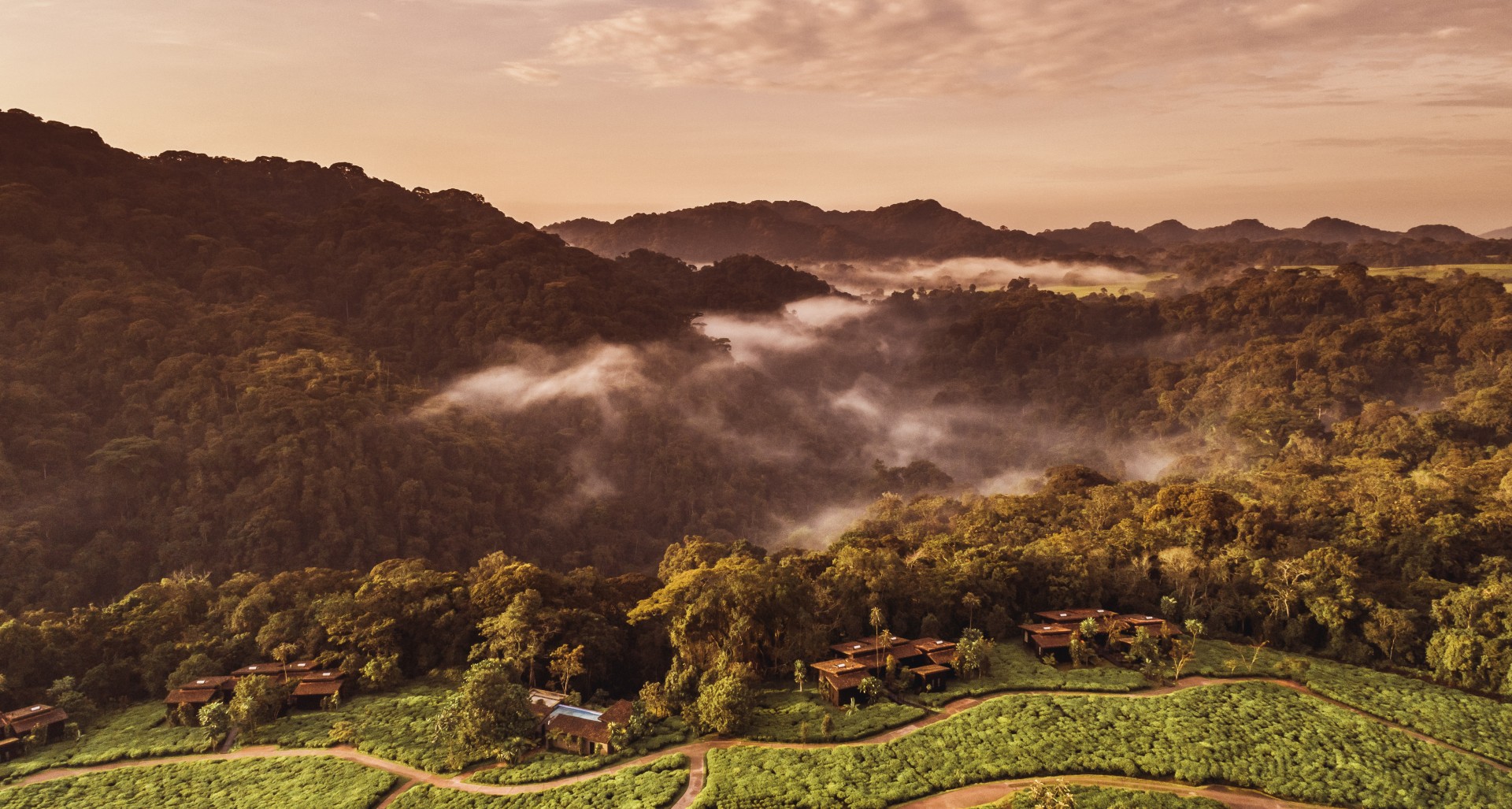 3 Days Rwanda Chimpanzee Trekking Nyungwe
