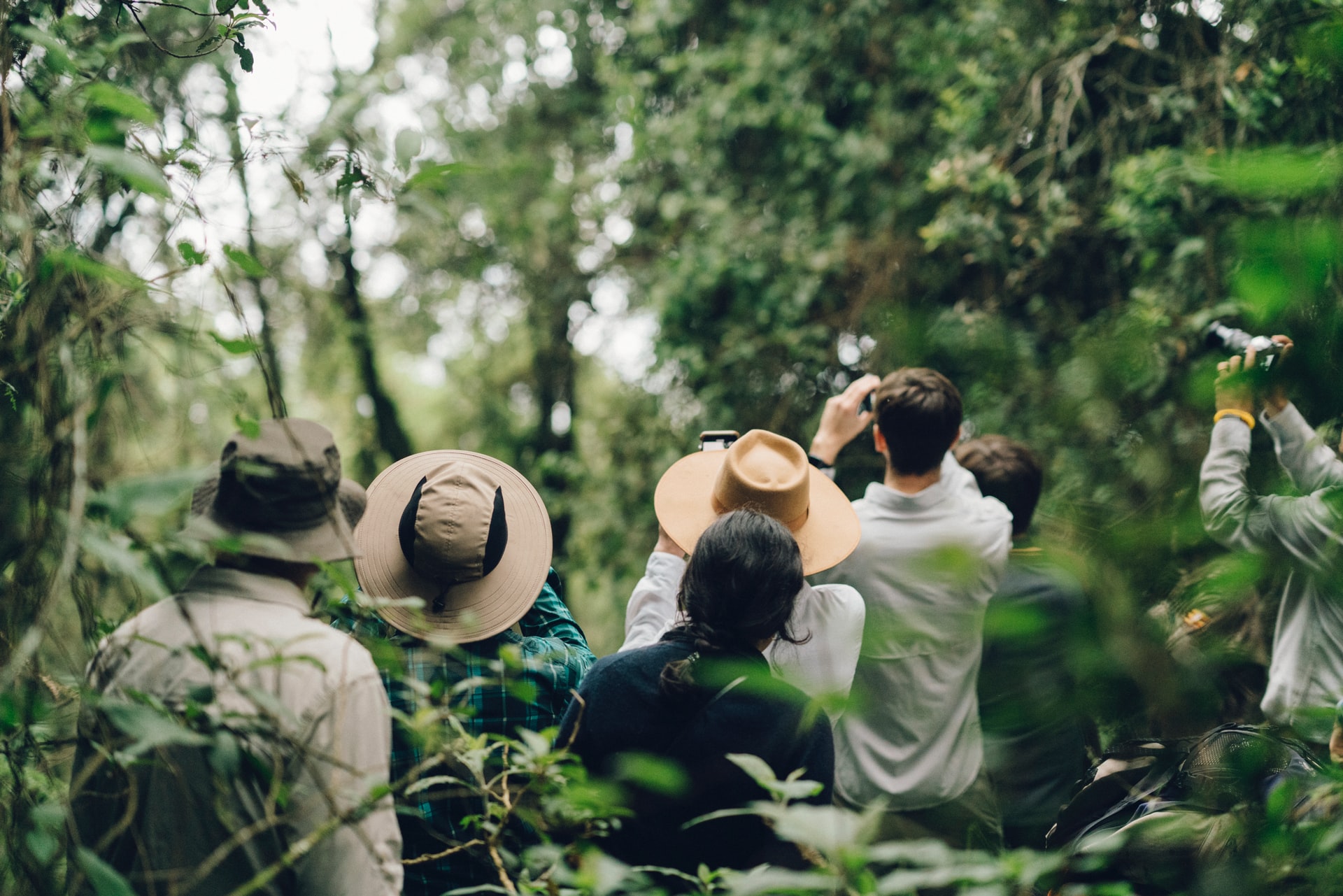 Bwindi Impenetrable National Park
