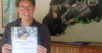 Chimpanzee Trekking in Kibale Forest National Park Kanyanchu visitors information center.