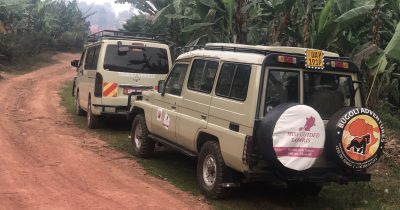 Safari car hire Uganda